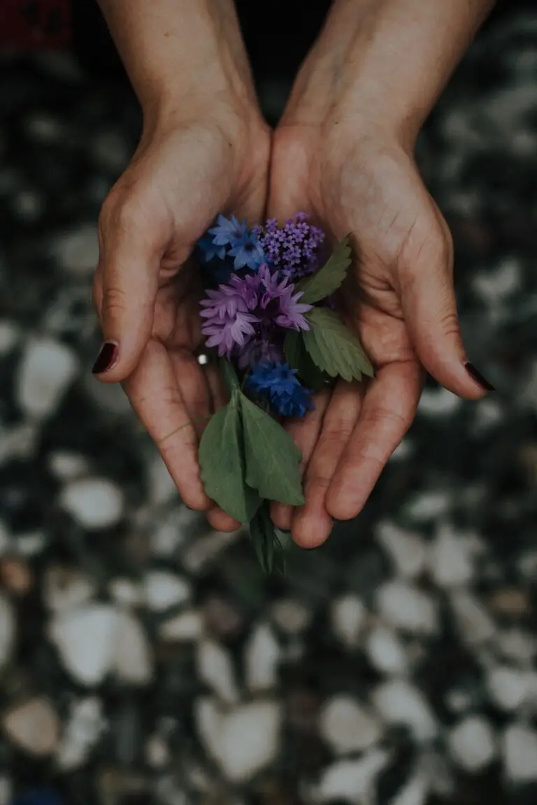 Händer som håller i lila blommor